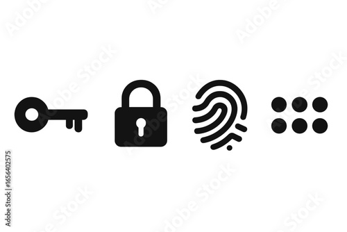 Security icons: key, lock, fingerprint, keypad