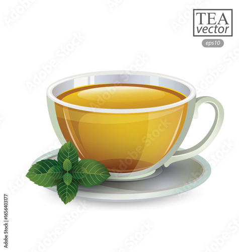 Cup of tea with mint isolated on white background. Vector illustration.