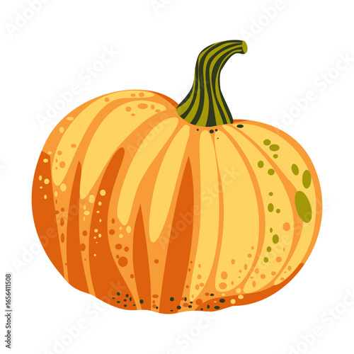 Vector illustration of orange pumpkin. Autumn vegetable, harvest food, Thanksgiving or Halloween decoration, seasonal design.