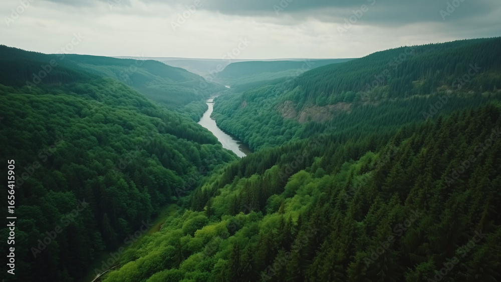 Fototapeta premium Scenic river bends through untouched wilderness forest canopy.