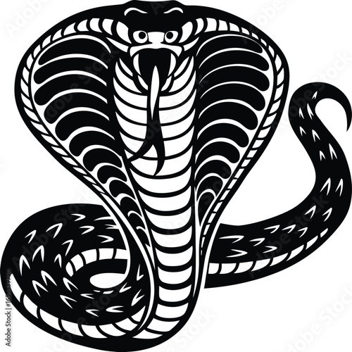 Striking Black and White Cobra Illustration with Hood Expanded and Tail Curled