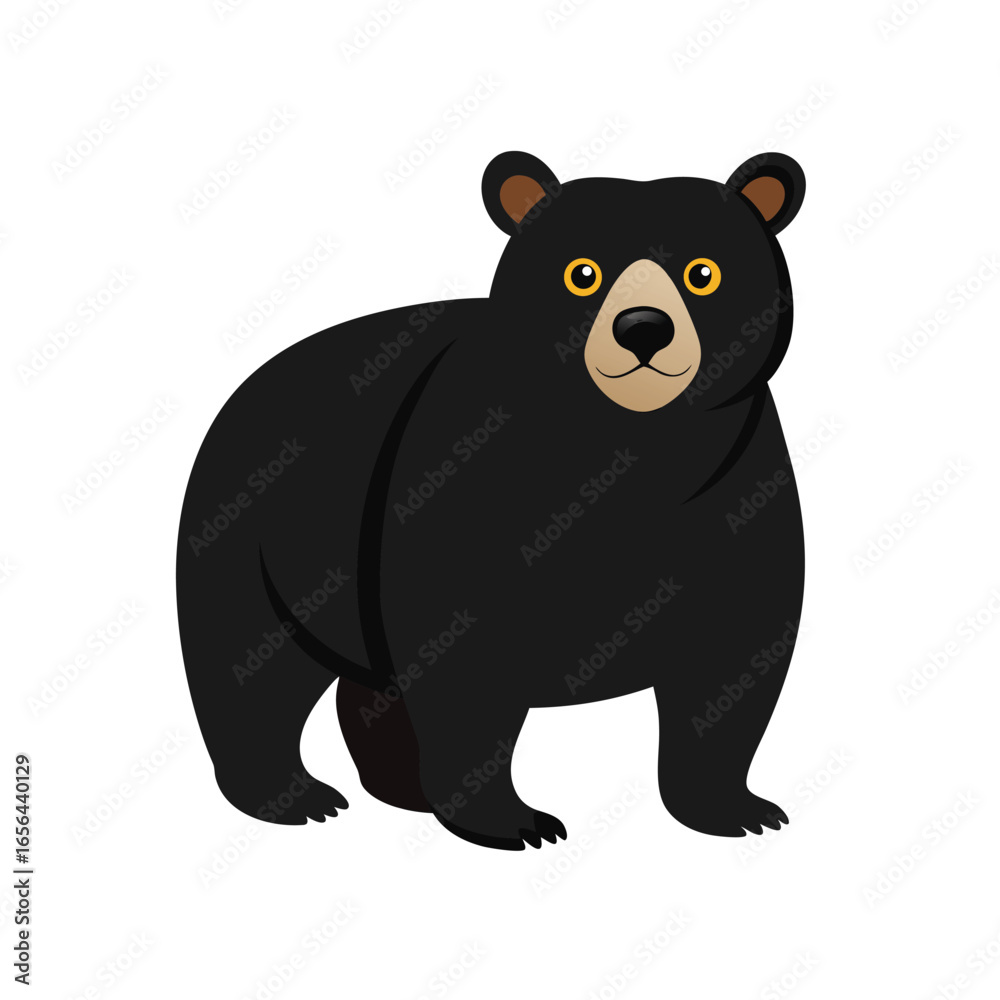 Fototapeta premium Black Bear Illustration Detailed Wildlife Animal Design