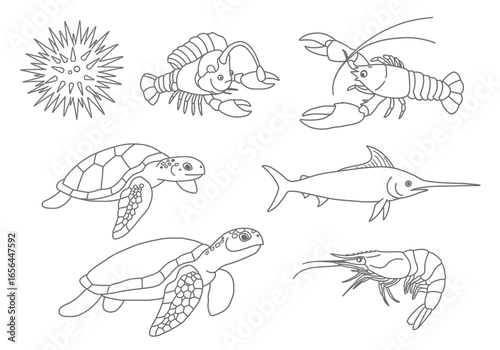 Line art shows a sea urchin sea life two turtles fish lobster and a shrimp