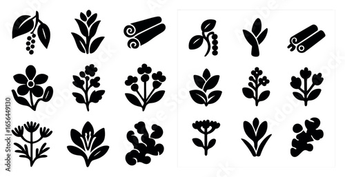 Herbal and spice silhouette icons set – botanical, solid, natural elements