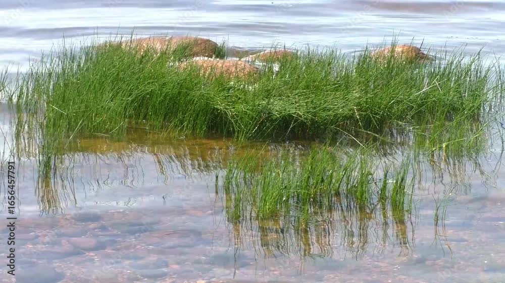 Boulders are smooth stones on the shore of the sea bay. Wild seascape on a sunny day. Boulders are smooth stones on the shore of the sea bay. Wild seascape on a sunny day.