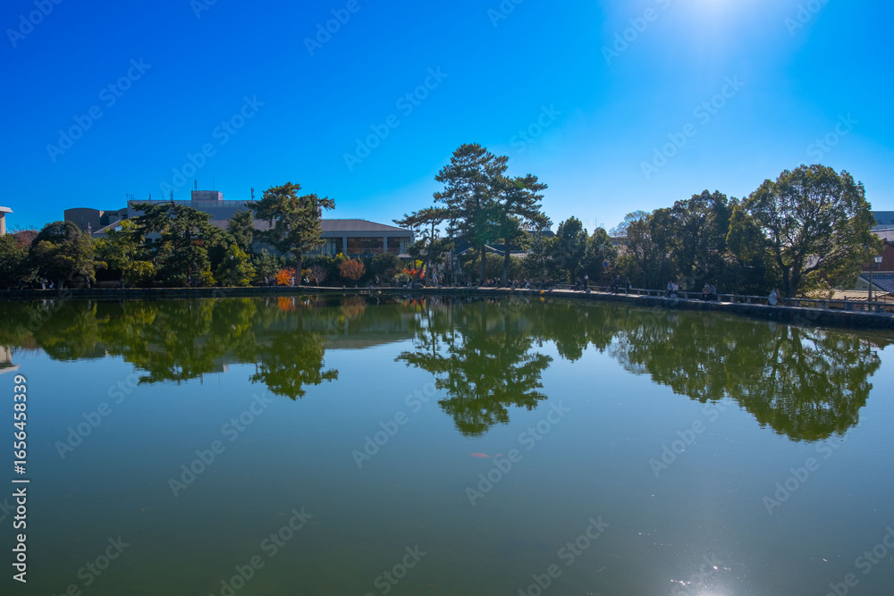 Obraz premium 奈良、奈良公園、紅葉、五重塔、歷史名勝、水、池塘、木、綠色、青空、秋、絶景、写真素材