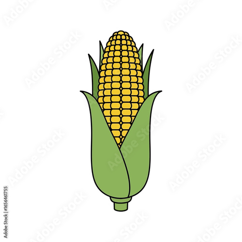 A single ear of corn with green husks on a white background.