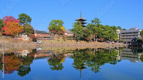 奈良、奈良公園、紅葉、五重塔、歷史名勝、水、池塘、木、綠色、青空、秋、絶景、写真素材