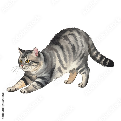 Vector watercolor Cat / 水彩テイストのねこイラスト