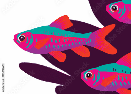 Illustration of neon tetras swimming gracefully. Breeding. Freshwater fish. Pet. Breeding. Fish. Ornamental fish.