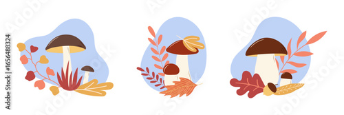 Edible mushrooms collection. Cep, boletus and autumn leaves. Autumn harvest and gifts of the forest. Vector illustration.