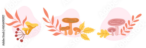 Edible mushrooms collection. Chanterelle, saffron milk cap, coral milky cap and autumn leaves. Autumn harvest and gifts of the forest. Vector illustration.