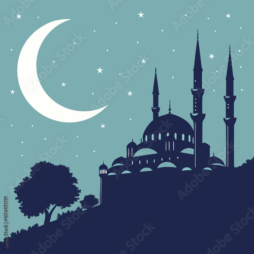 blue mosque at night