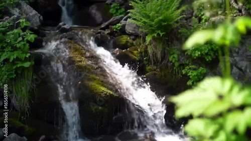 Tranquil waterfall scene in lush forest setting ideal for nature photography