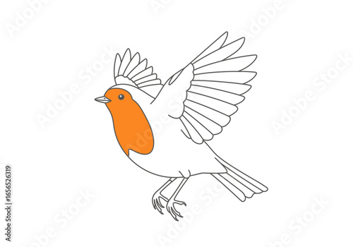 A robin in flight wings spread with an orange breast and black outline on a white background