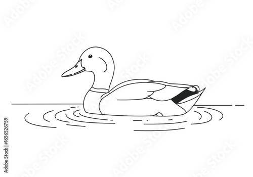 Duck in water shown in black outline