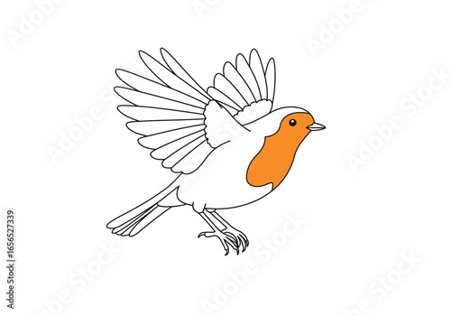 Robin bird with orange chest black outline wings spread