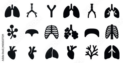 Human anatomy solid icons set – lungs, heart, medical symbols