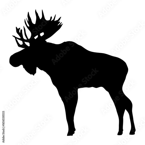Silhouette of an elk with large branched antlers. Realistic vector animal
