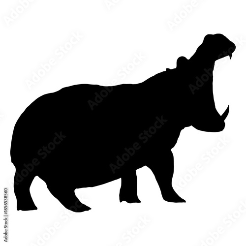 Hippopotamus silhouette. Hippo Hippopotamus amphibius. Wild animal of Africa. realistic vector