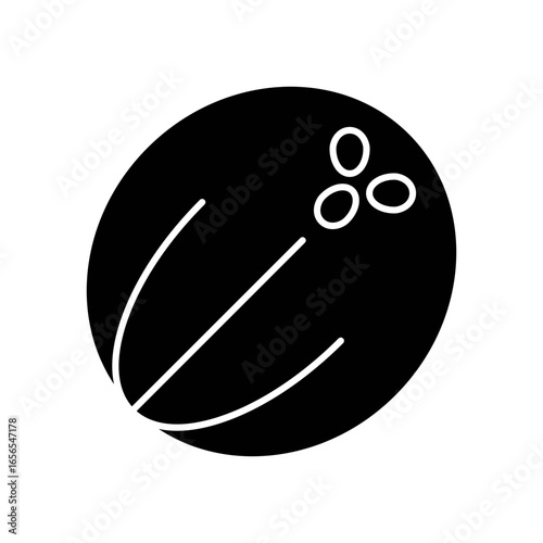 Coconut Tropical Fruit Fill Icon: Healthy Food and Fresh Produce