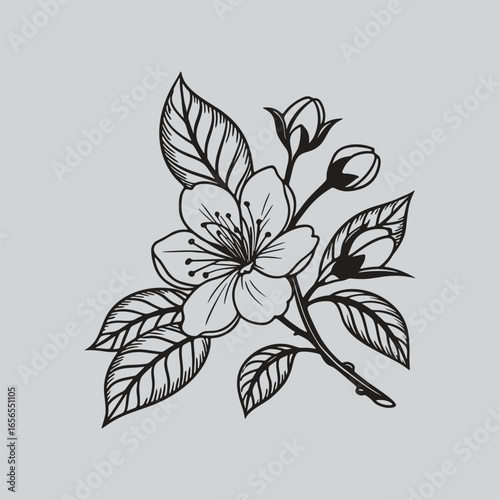 Camellia Elegant Botanical Wall Art Drawings