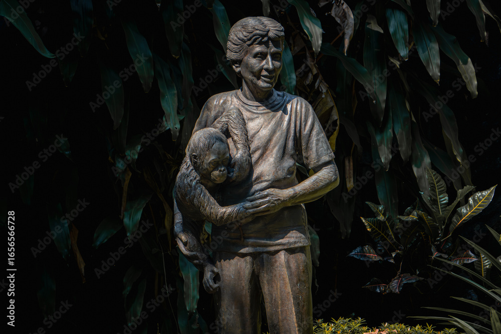 Ταπετσαρία Schmutzer Primate Center, Jakarta - June 12, 2025: The statue of Pauline Antoinette Adeline Schmutzer holding a gorilla cub, displayed outdoors with surrounding plants creating natural atmosphere