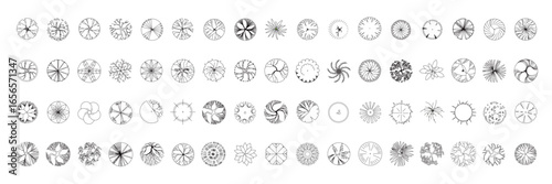 Top View Vector Icons of Trees and Plants for Floor Plan and Architectural Design Projects	