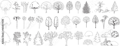 front View Vector Icons of Trees and Plants for Floor Plan and Architectural Design Projects	