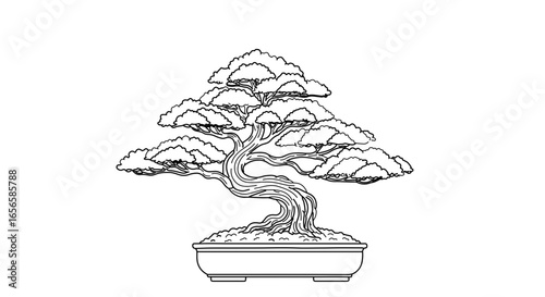 Detailed bonsai tree illustration for zen garden design and japanese art projects and coloring pages