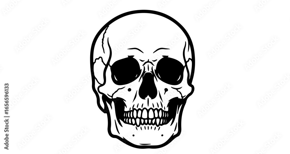 Skull illustration vector art drawing halloween skeleton death head human anatomy graphic design scary bone 3d model Skull illustration vector art drawing halloween skeleton death head human anatomy graphic design scary bone 3d model