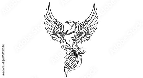Phoenix bird rising tattoo design vector illustration mythical firebird symbol outline art drawing concept
