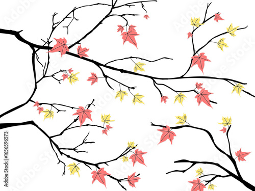 A beautiful vector illustration of tree branches with vibrant autumn maple leaves. An elegant natural element perfect for seasonal designs, backgrounds, and decorations.