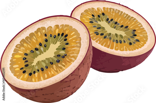 slice of kiwi fruit