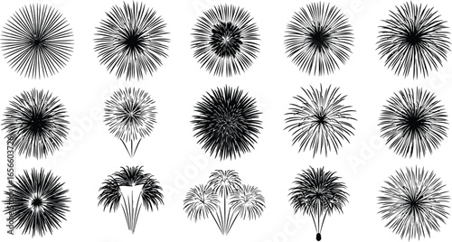 Celebrate with stunning fireworks displays for any occasion