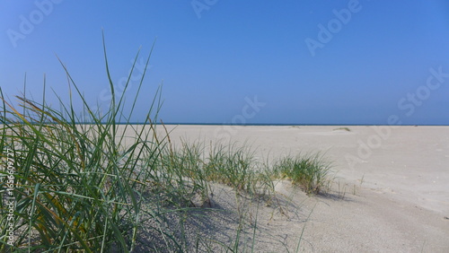 Strand Dünen auf Fanø, Sören Jessens Sand, Dänemark,
