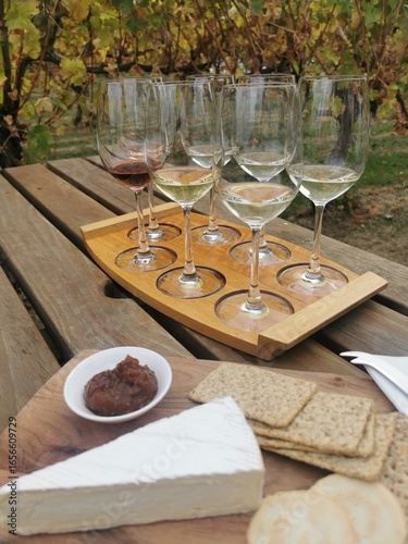 Close-up of a wine tasting flight with a variety of glasses on a rustic wooden tray, accompanied by a cheese and cracker platter