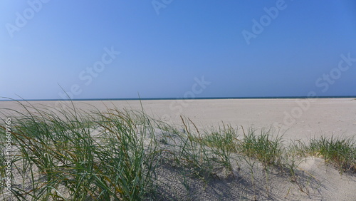 Strand Dünen auf Fanø, Sören Jessens Sand, Dänemark,