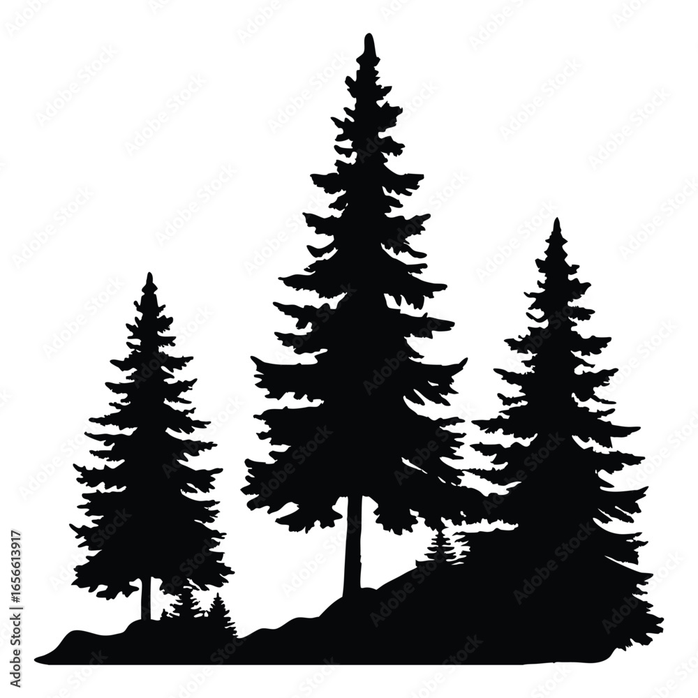 Obraz premium Three tall fir trees create a dark silhouette against white background with transparent background