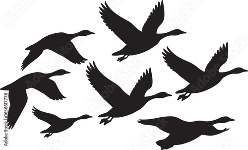 Silhouette of Geese Flying in Formation Vector Illustration on Plain Field
