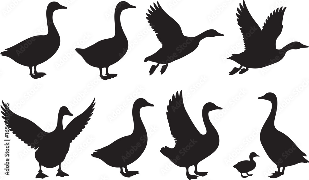 Obraz premium Silhouette Geese Vector Illustration Set of Waterfowl Bird Silhouettes