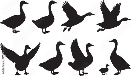 Silhouette Geese Vector Illustration Set of Waterfowl Bird Silhouettes