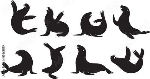 Silhouette Seals Vector Illustration Set of Marine Mammal Silhouettes