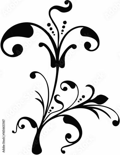 Scroll, cartouche, decor, vec...