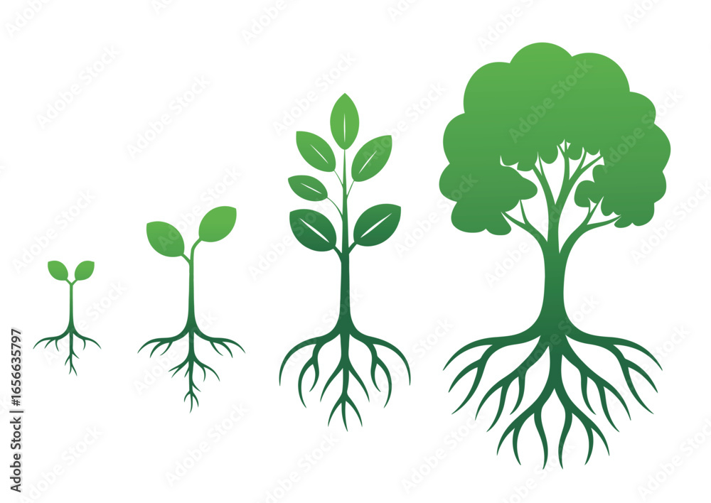 Obraz premium Visualize business growth stages from seedling to mature tree, representing success and development