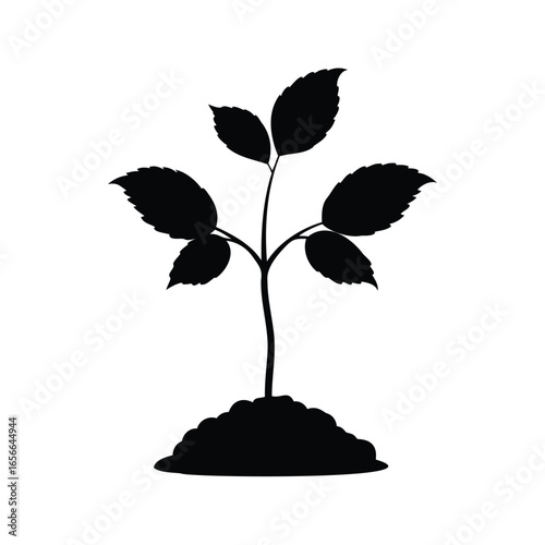 A young sapling with vibrant green leaves emerging from fertile soil, seedling silhouette vector illustration