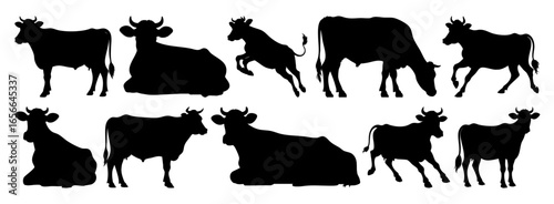 Cow Silhouettes Collection Different Poses Standing Walking Grazing Sitting Jumping Running Lying Down Transparent Background