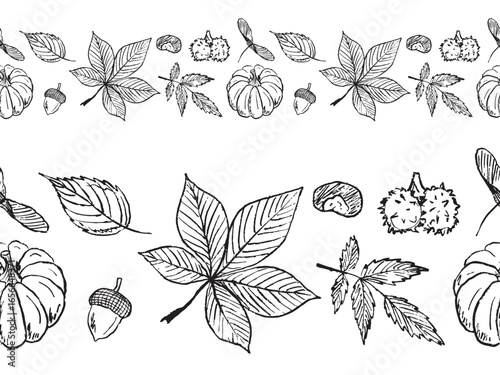 Autumn leaves seamless design. Seamless border with chestnut, pumpkin, rowan leaves in black brush stroke texture isolated on white. Hand drawn vector sketch illustration in vintage charcoal ink