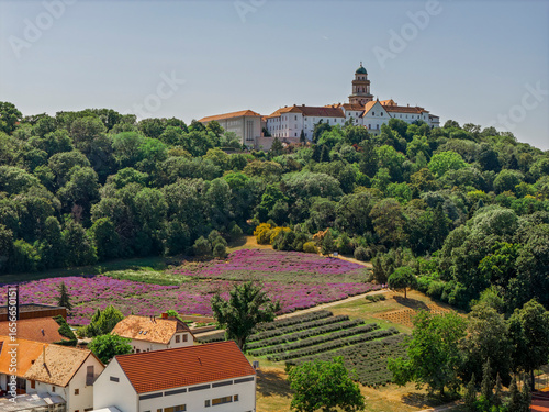 Fényképezés Europe, Hungary, Gyor-Moson Sopron County, Pannonhalma village
