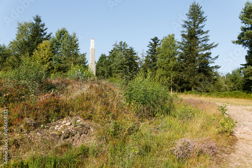 Sommet du Spiémont